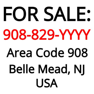 Belle Mead, NJ : 908-829-YYYY