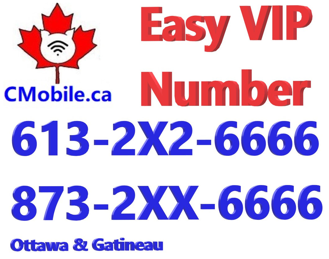 Ottawa & Gatineau 613-2X2-6666 and 873-2XX-6666 VIP number bundle  ending with 6666